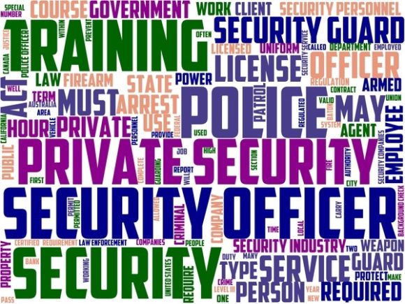 Security Officer Wordart Skinny Tumbler