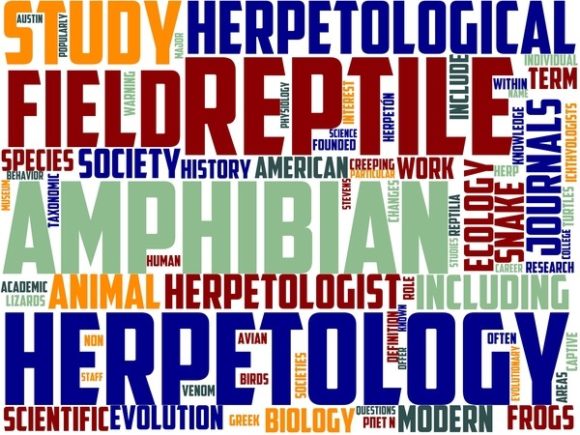 Serpentology Wordart Background