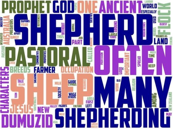 Shepherd Typography: A Unique Approach to Hand-Drawn Wordclouds