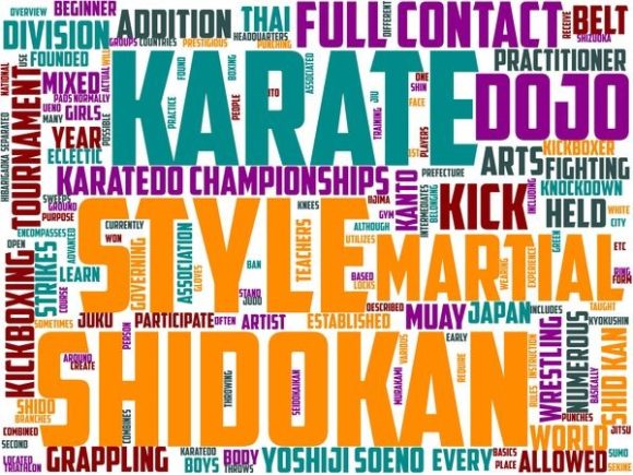 Shidōkan Karate Typography Art